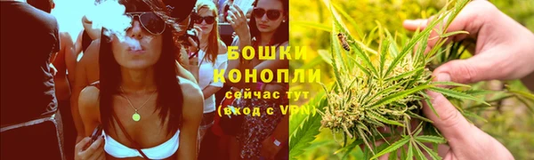 прущие грибы Баксан