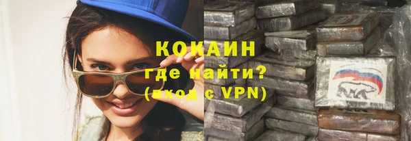индика Балахна