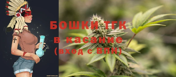 индика Балахна