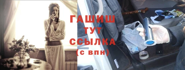 индика Балахна
