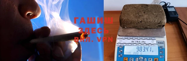 прущие грибы Баксан