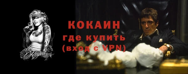 индика Балахна