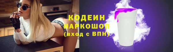 индика Балахна