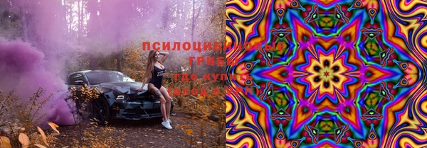 прущие грибы Баксан