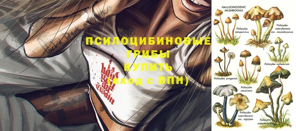 apvp Балабаново