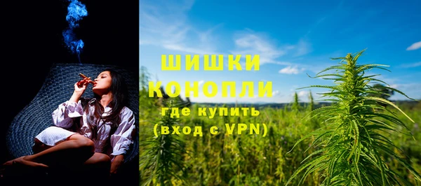 прущие грибы Баксан