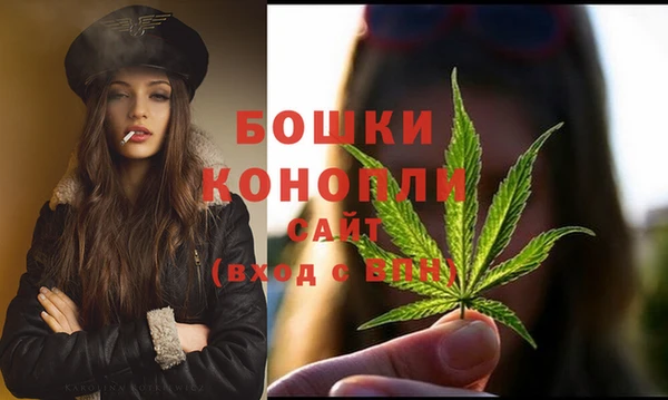 индика Балахна